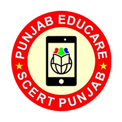 punjab educare - duke infosys